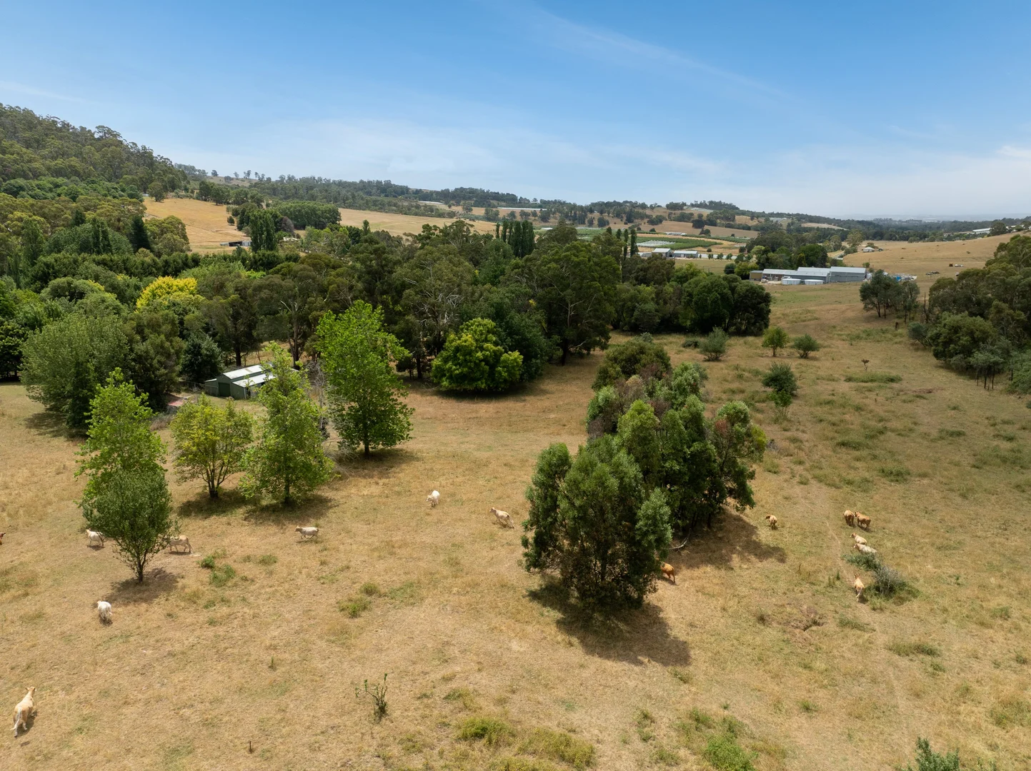 Additional image 4 of 999 Lake Canobolas Road, Orange NSW 2800