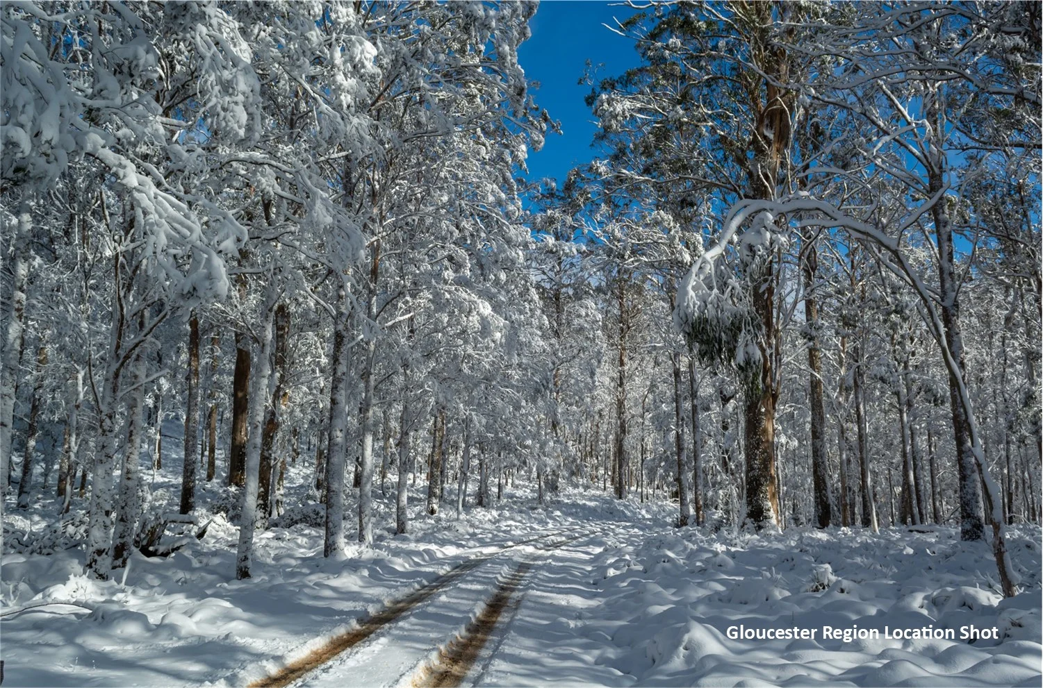 Additional image 58 of 57 Moonlight Circuit, Gloucester NSW 2422