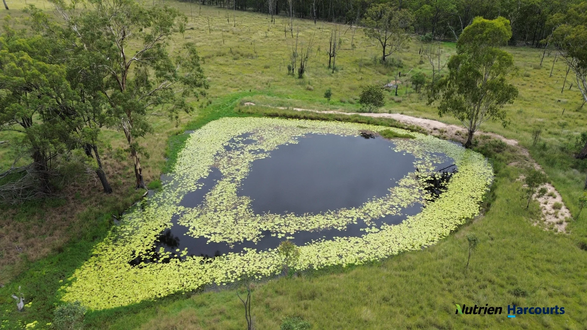 Additional image 11 of 754 Pedersens Road, Dangore QLD 4610