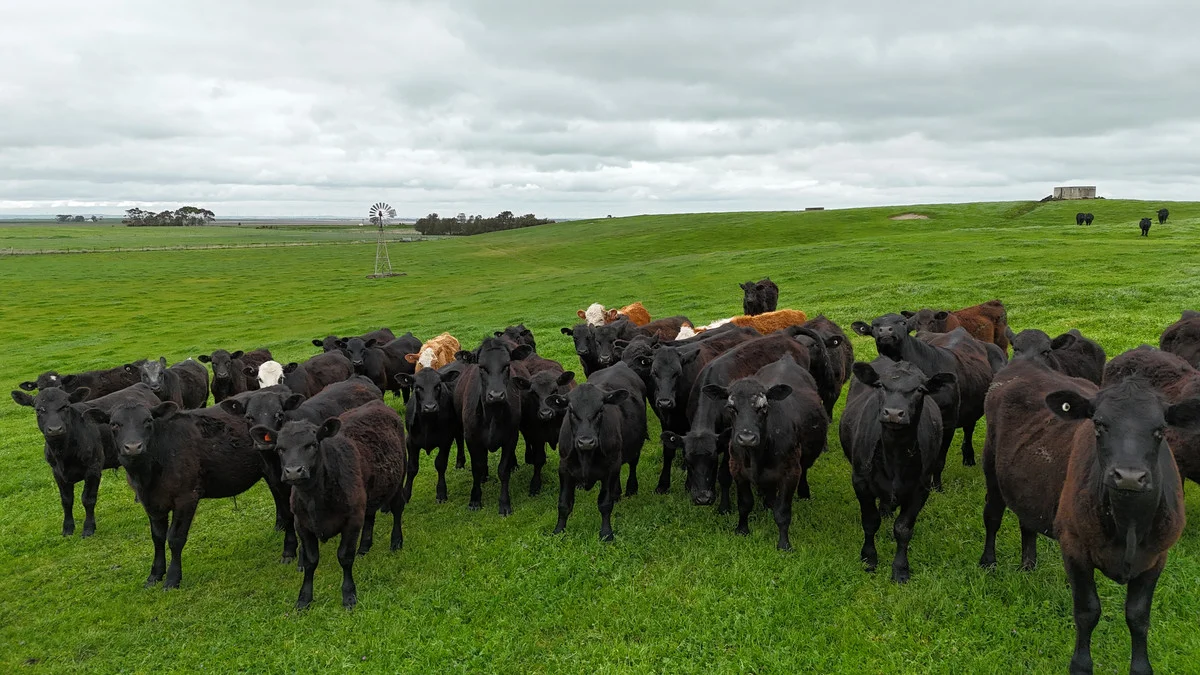 Additional image 2 of 215 Cundare-Duverney Road, Cundare North VIC 3251