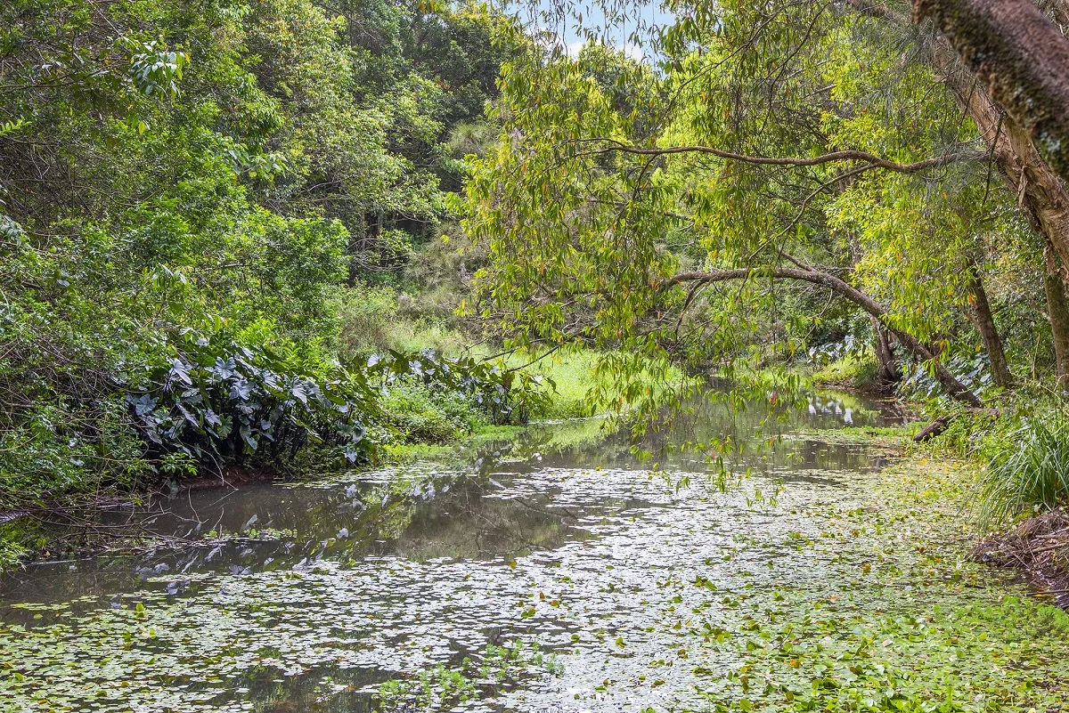 Additional image 14 of 10 Angus Place, Ewingsdale NSW 2481