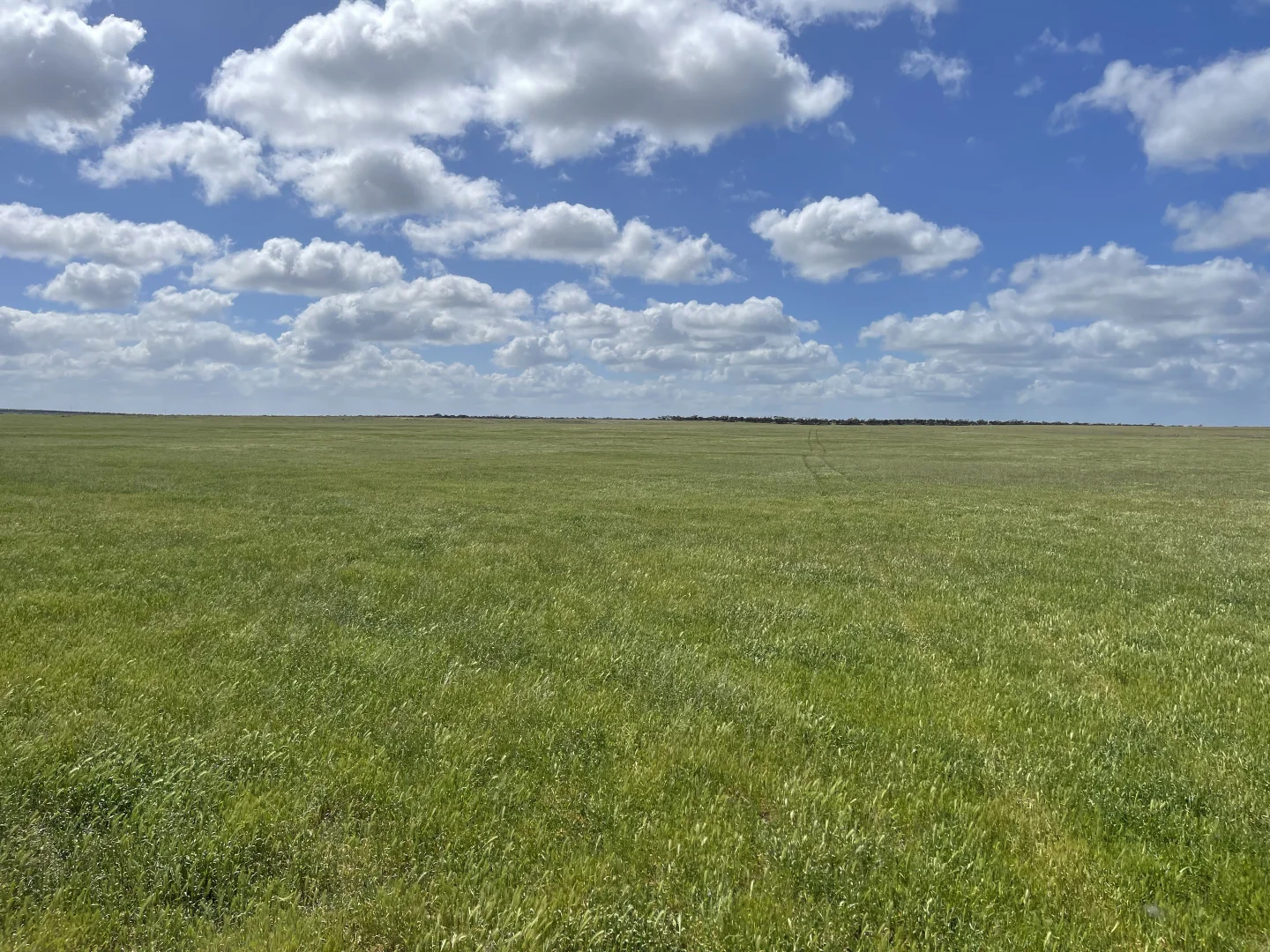 Additional image 8 of Lot 18 Tod Highway, Warramboo SA 5650