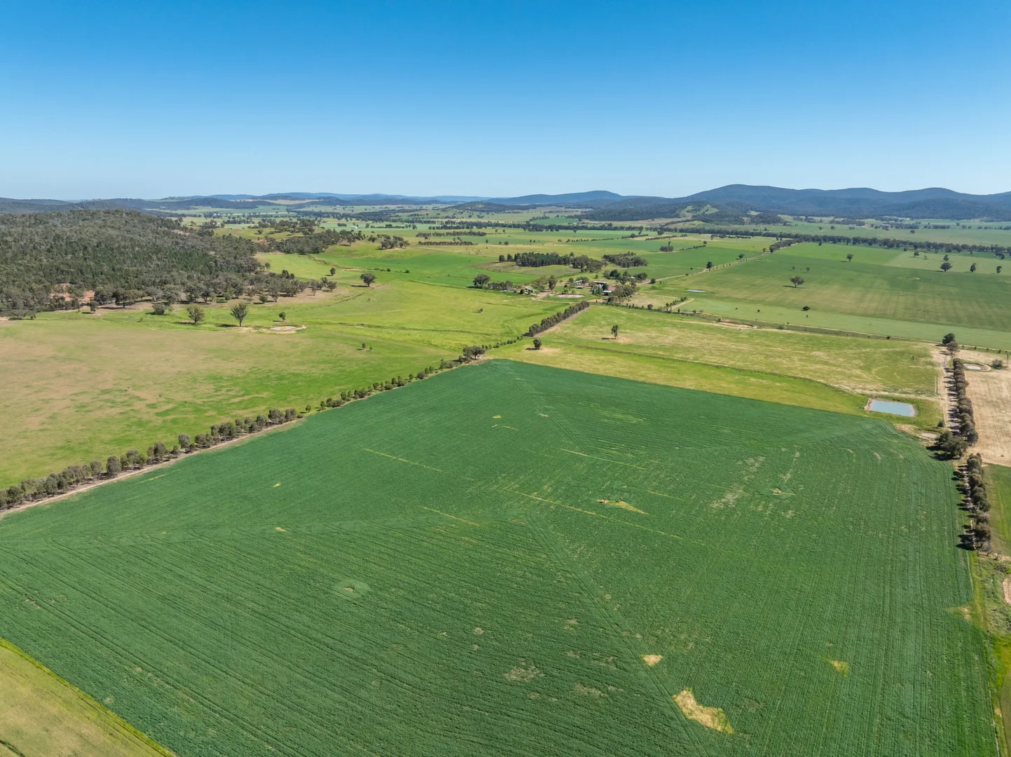 Additional image 29 of 92 Campbells Lane, Canowindra NSW 2804