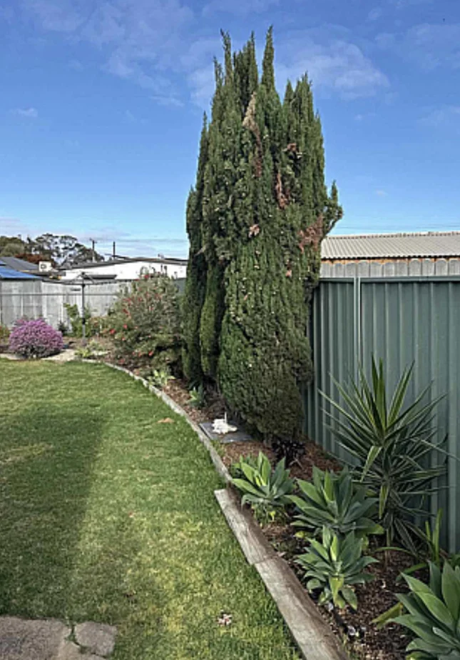 Additional image 13 of 237 Mersey Road, Largs North SA 5016