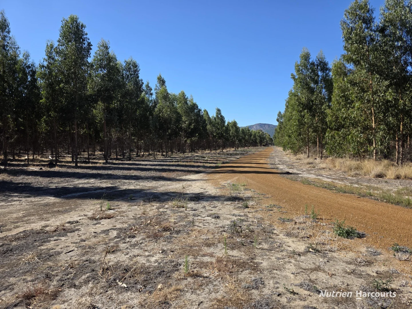 Additional image 14 of 1578 Yellanup Road, Narrikup WA 6326