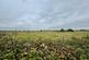 Additional image 7 of Clifton Park, New Road, Clifton, Bedfordshire, SG17 5PT