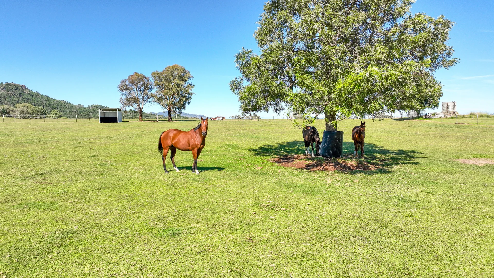 Additional image 17 of 2174 New England Highway, Moonbi NSW 2353