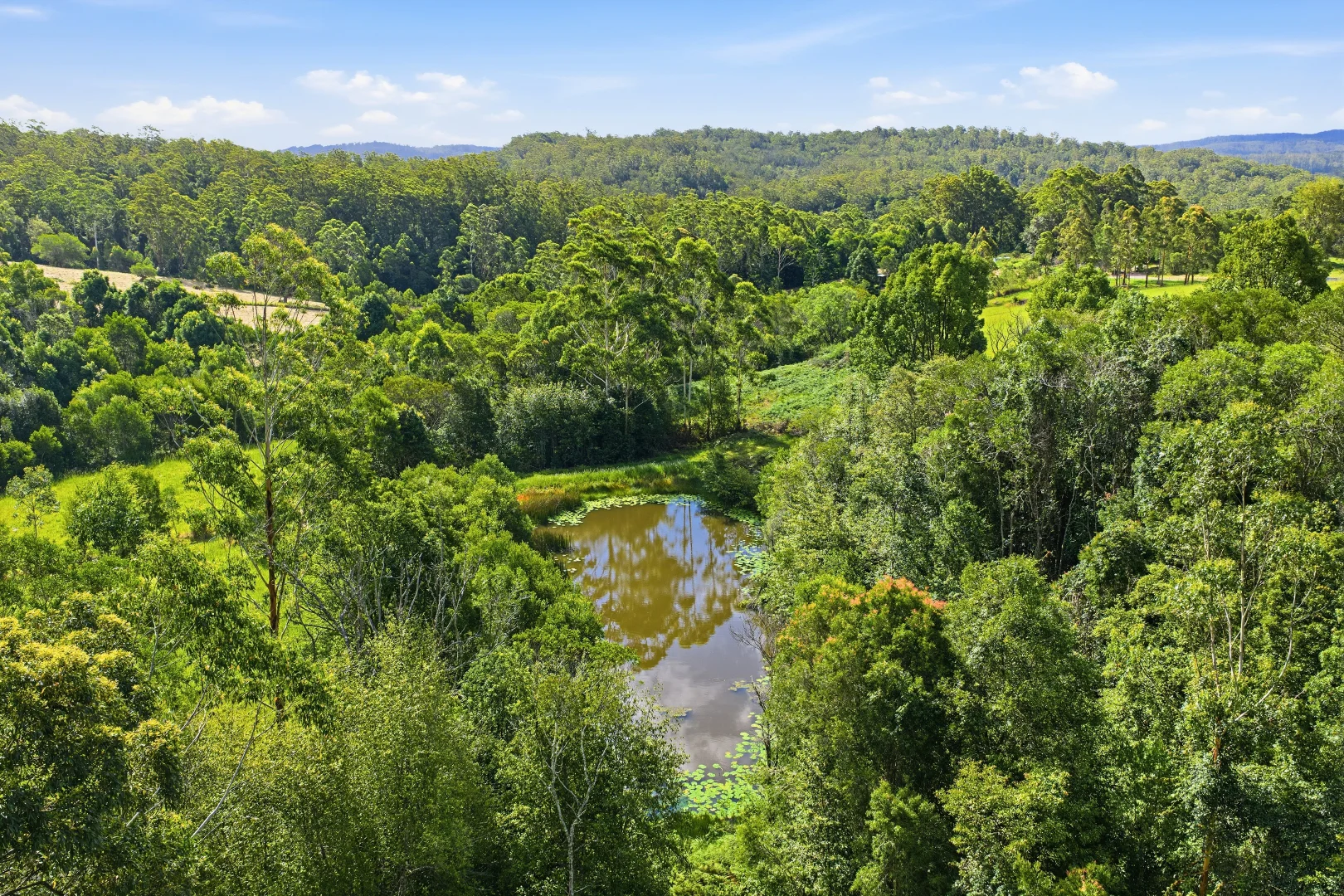 Additional image 27 of 125 Isaacs Road, Lorne NSW 2439