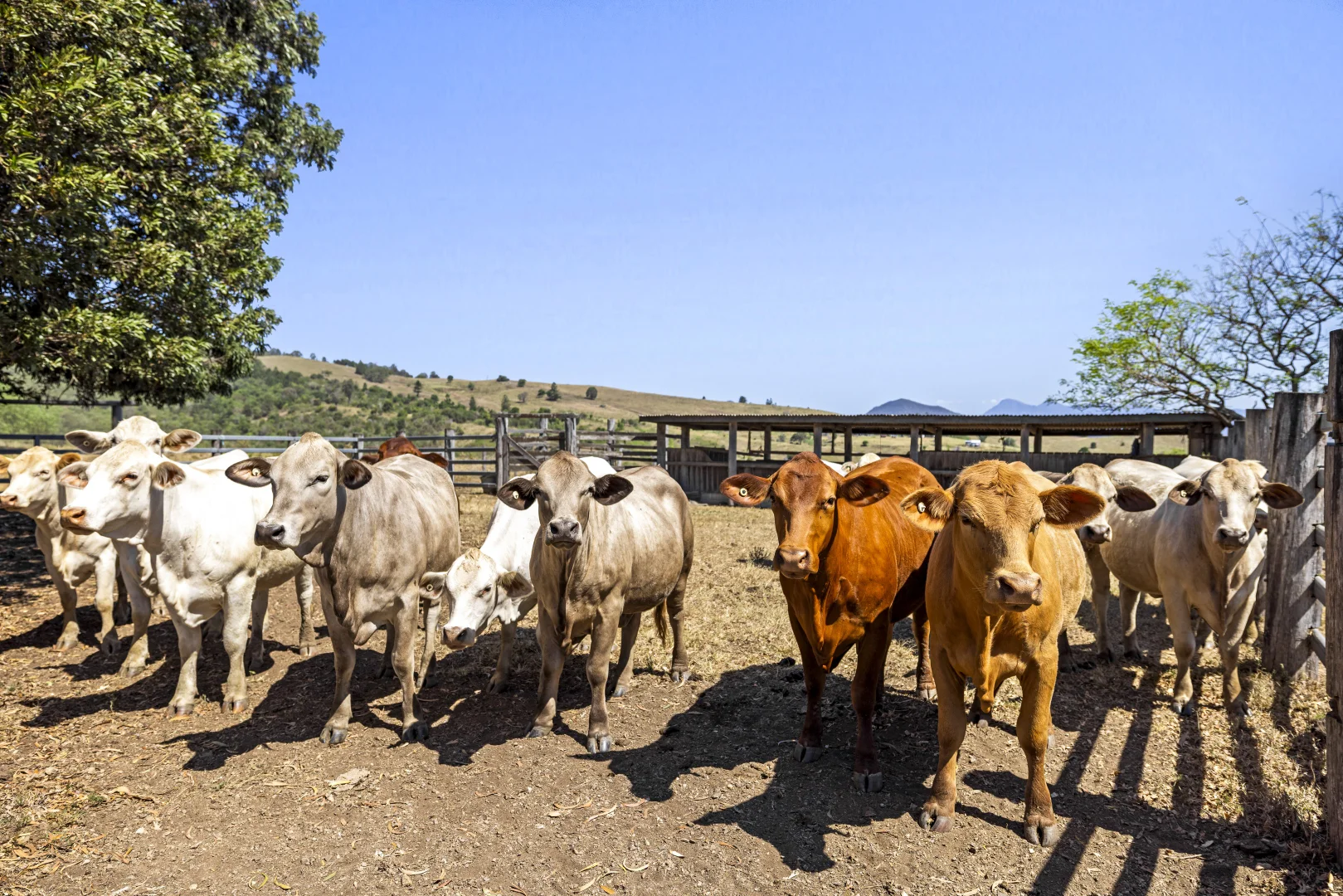 Additional image 36 of 104 Green Hills Road, Milford QLD 4310