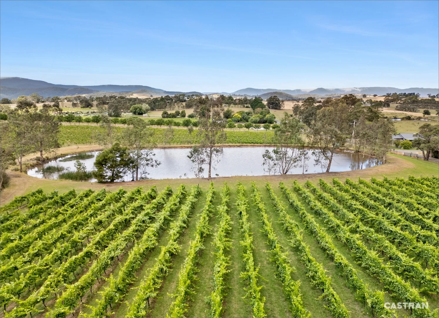 Additional image 7 of 110 Wills Road, Dixons Creek VIC 3775