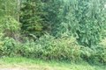 Additional image 6 of 1774 Twin Oaks Ln, Freeland, WA, 98249