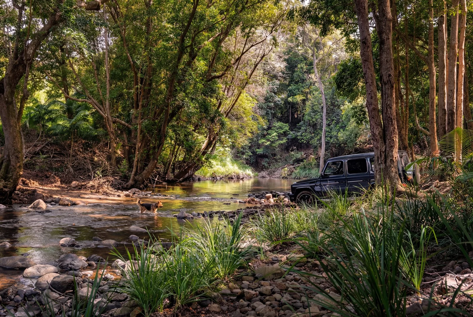 Additional image 25 of 50-52 Palmers Road, Terragon NSW 2484