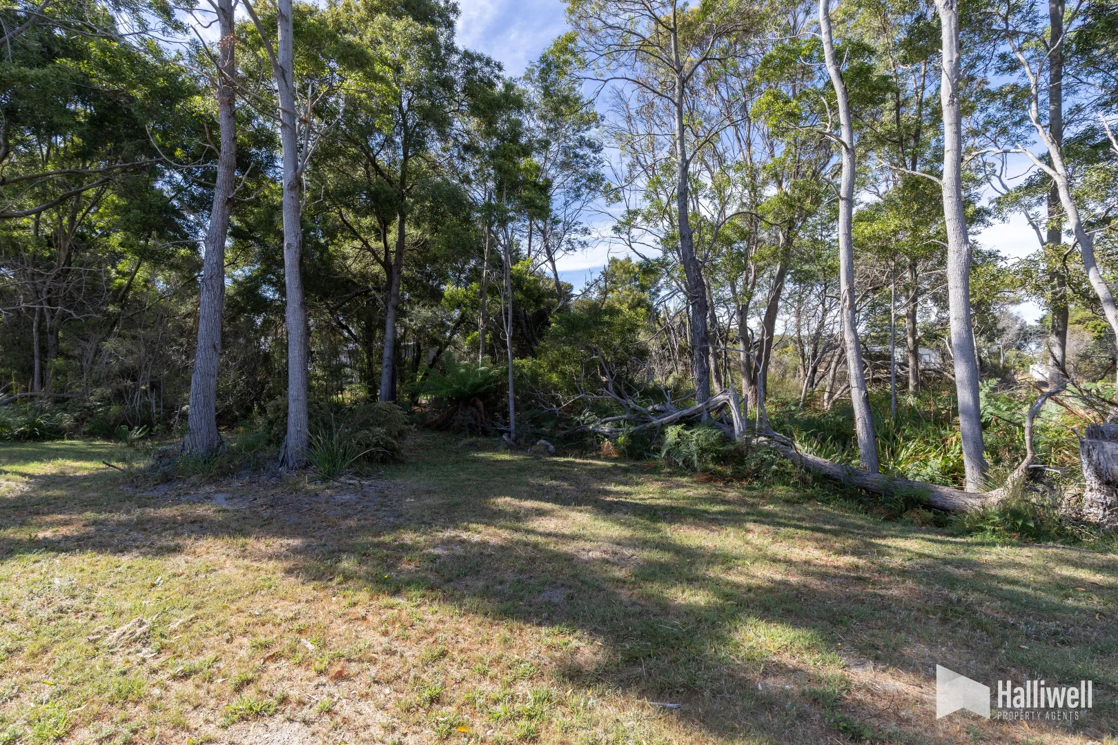 Additional image 26 of 18 Milldam Road, Squeaking Point TAS 7307