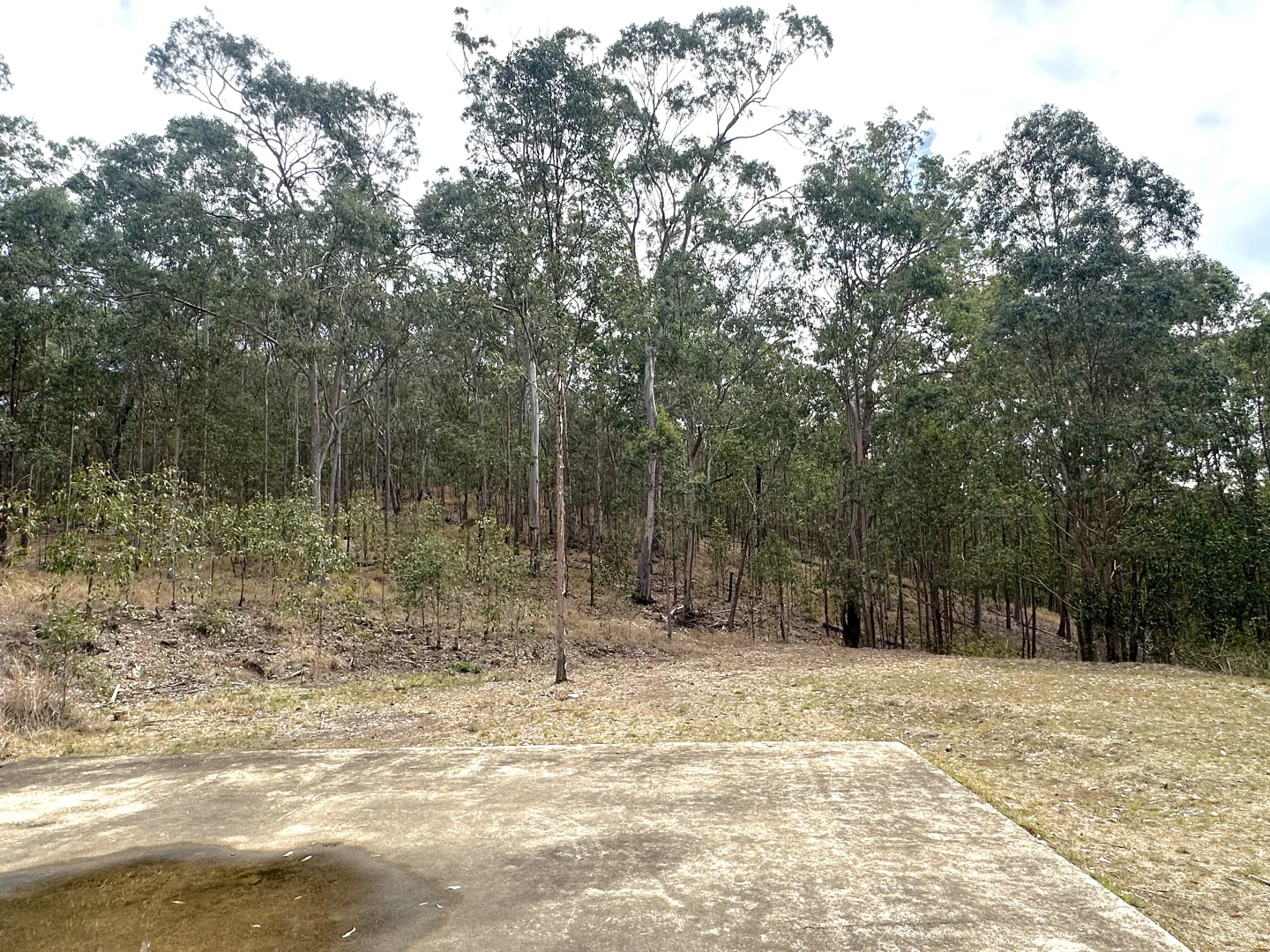 Additional image 4 of 277 Whipbird Drive, Buaraba QLD 4311