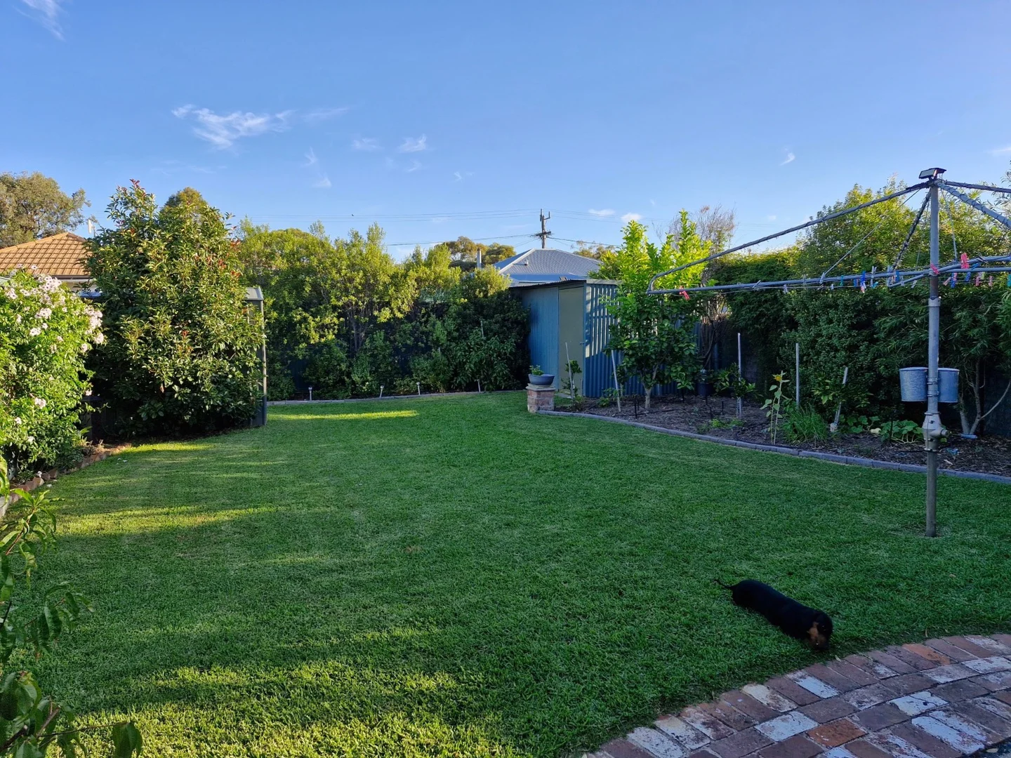 Additional image 33 of 1A Ocallaghan Street, Warracknabeal VIC 3393