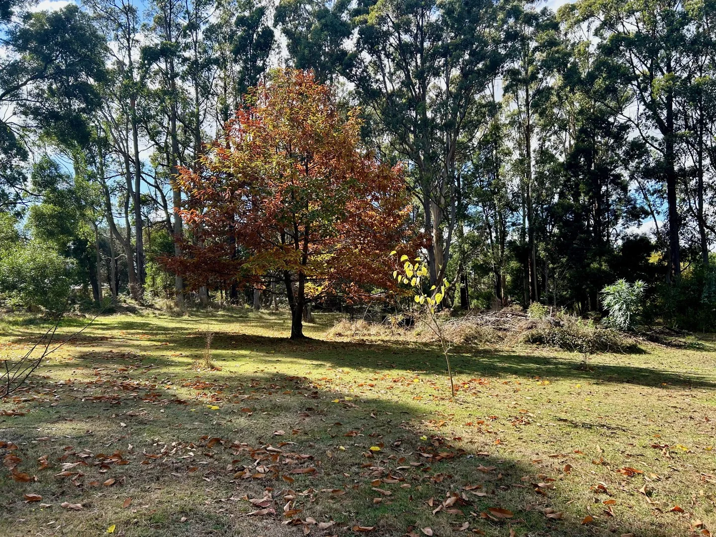 Additional image 3 of 85 Bluemount Road Trentham, Trentham VIC 3458