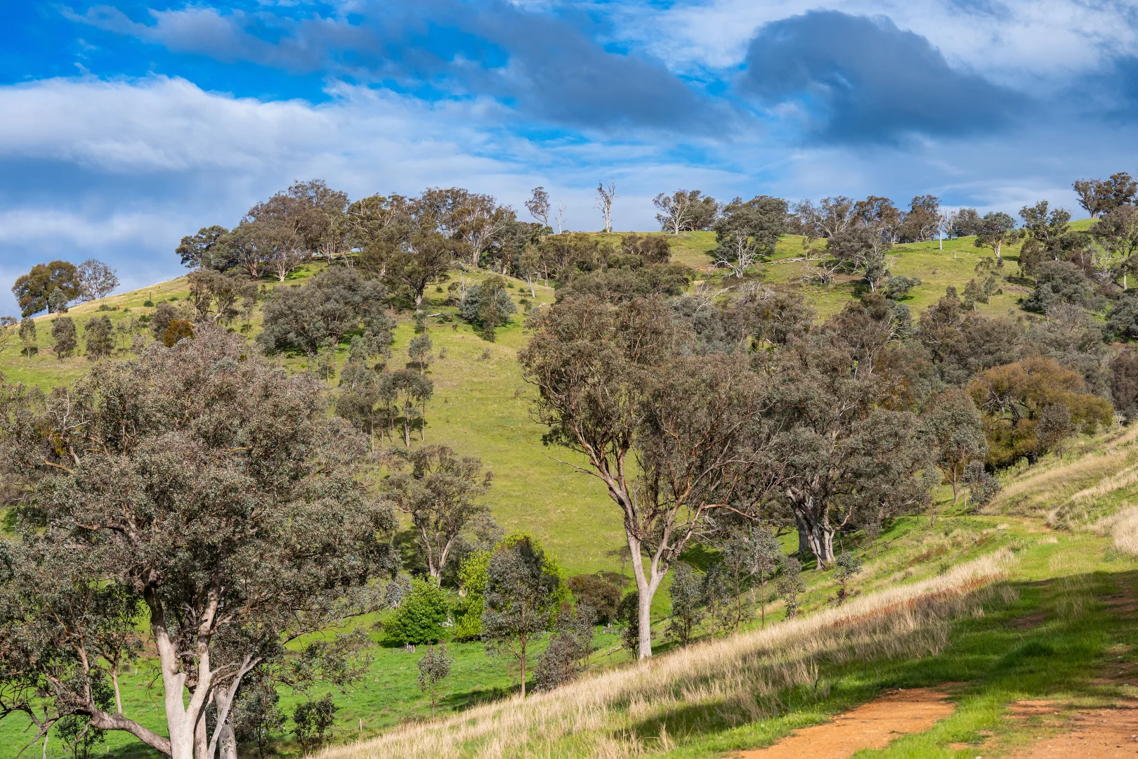 Additional image 11 of . Packers Road, Bethanga VIC 3691