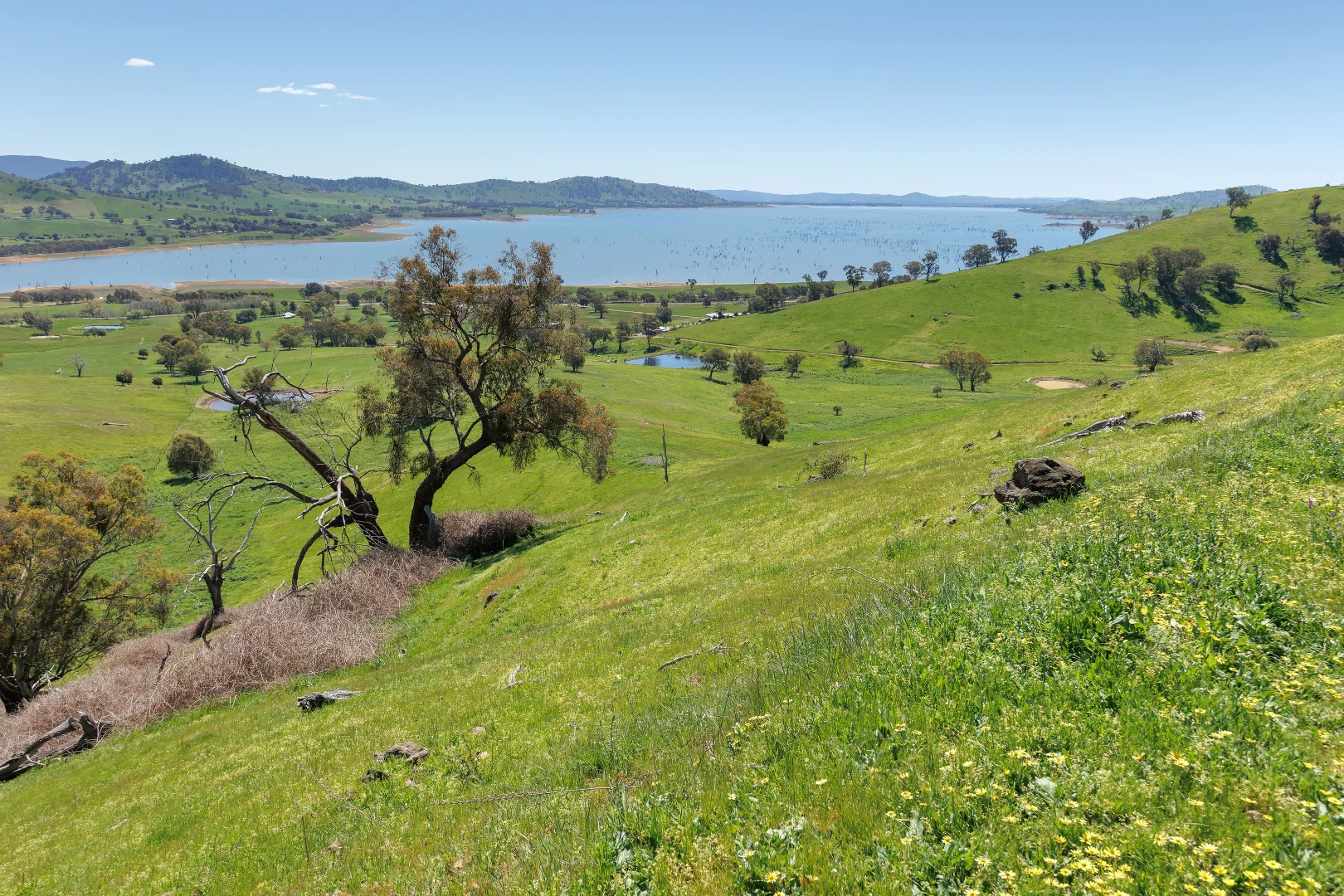 Additional image 54 of 1407 Murray Valley Highway, Huon VIC 3695