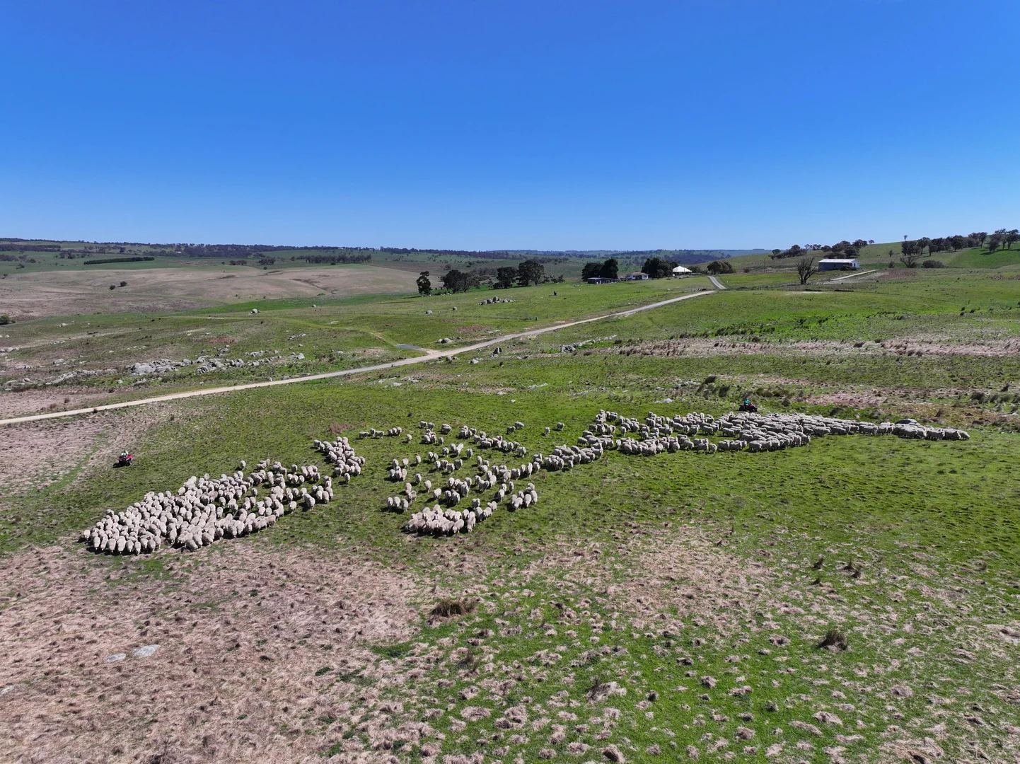 Additional image 4 of 175 Bolong Road, Golspie NSW 2580