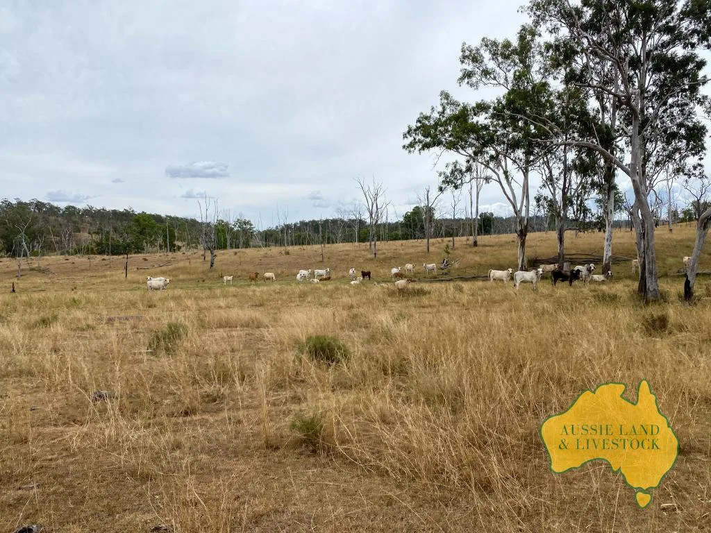 Additional image 70 of 2360 MONTO MOUNT PERRY ROAD, Yarrol QLD 4630