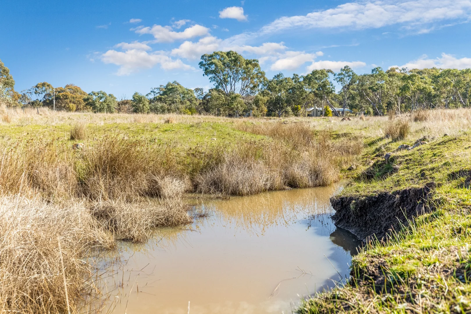 Additional image 3 of 220 McDonalds Road, Clunes VIC 3370
