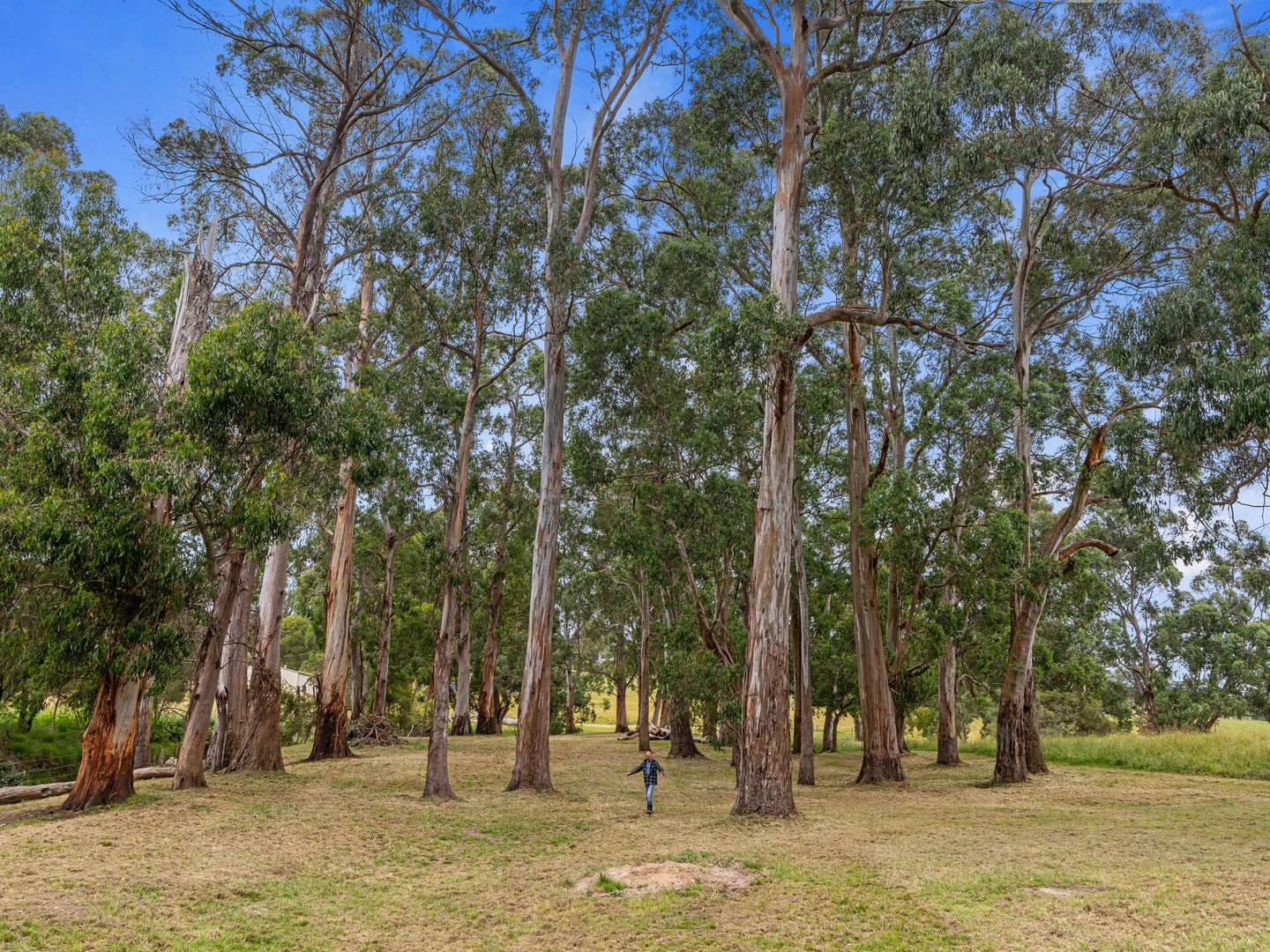 Additional image 25 of 8795 South Gippsland Highway, Korumburra VIC 3950