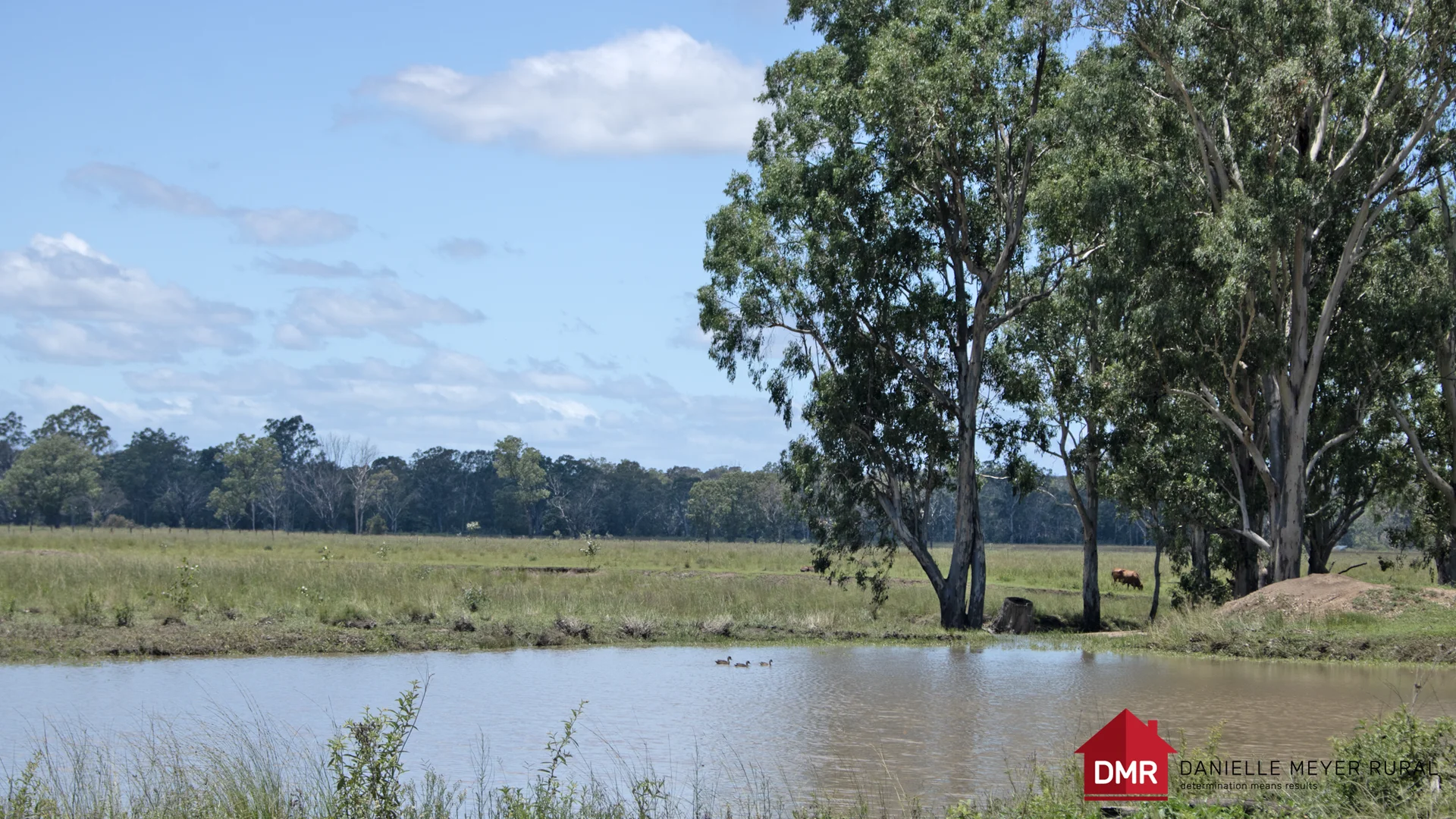 Additional image 24 of 8 Screening Plant Road, Cynthia QLD 4627