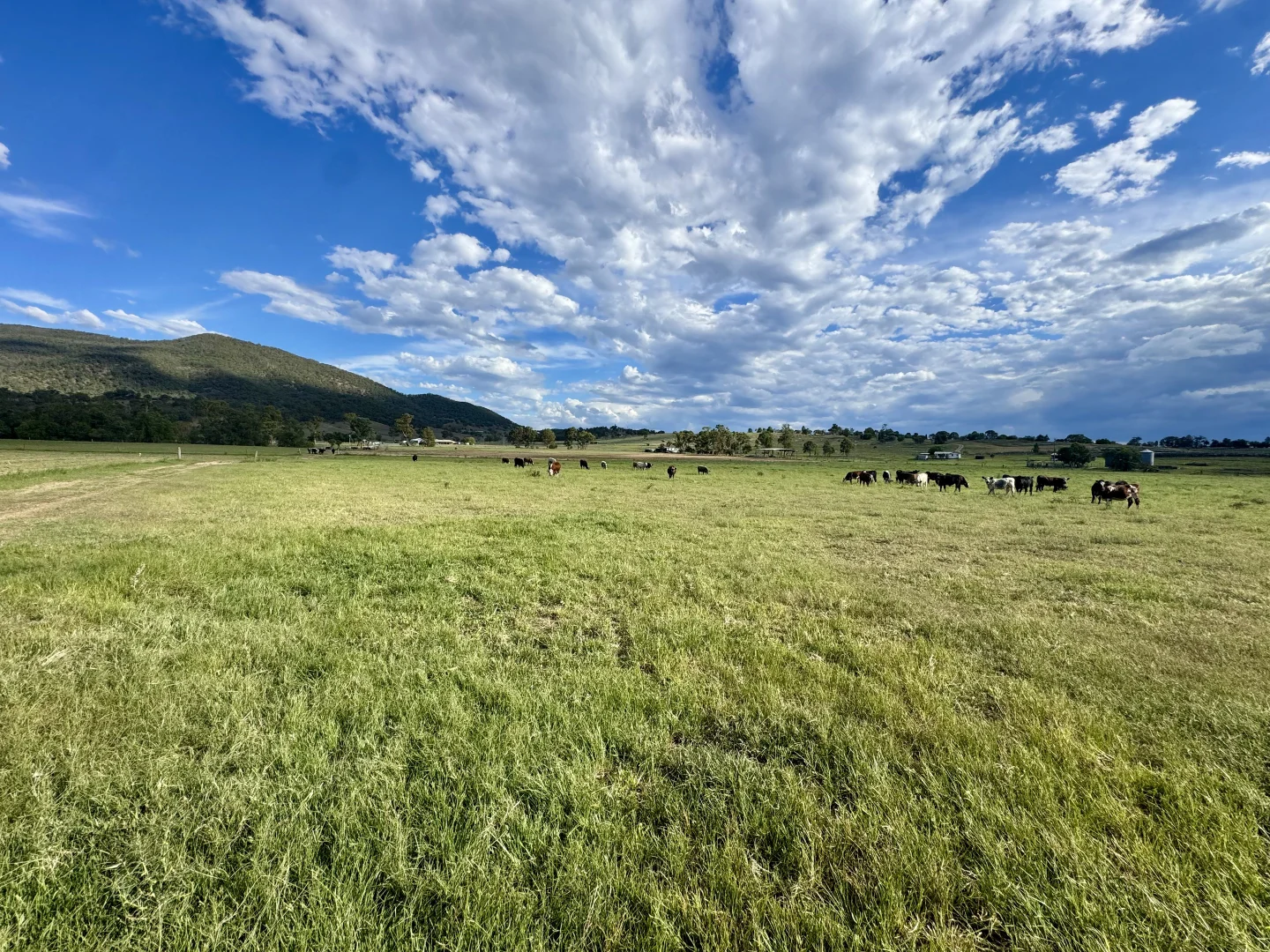 Additional image 38 of "Gap View" Wells Gully Road, Muswellbrook NSW 2333