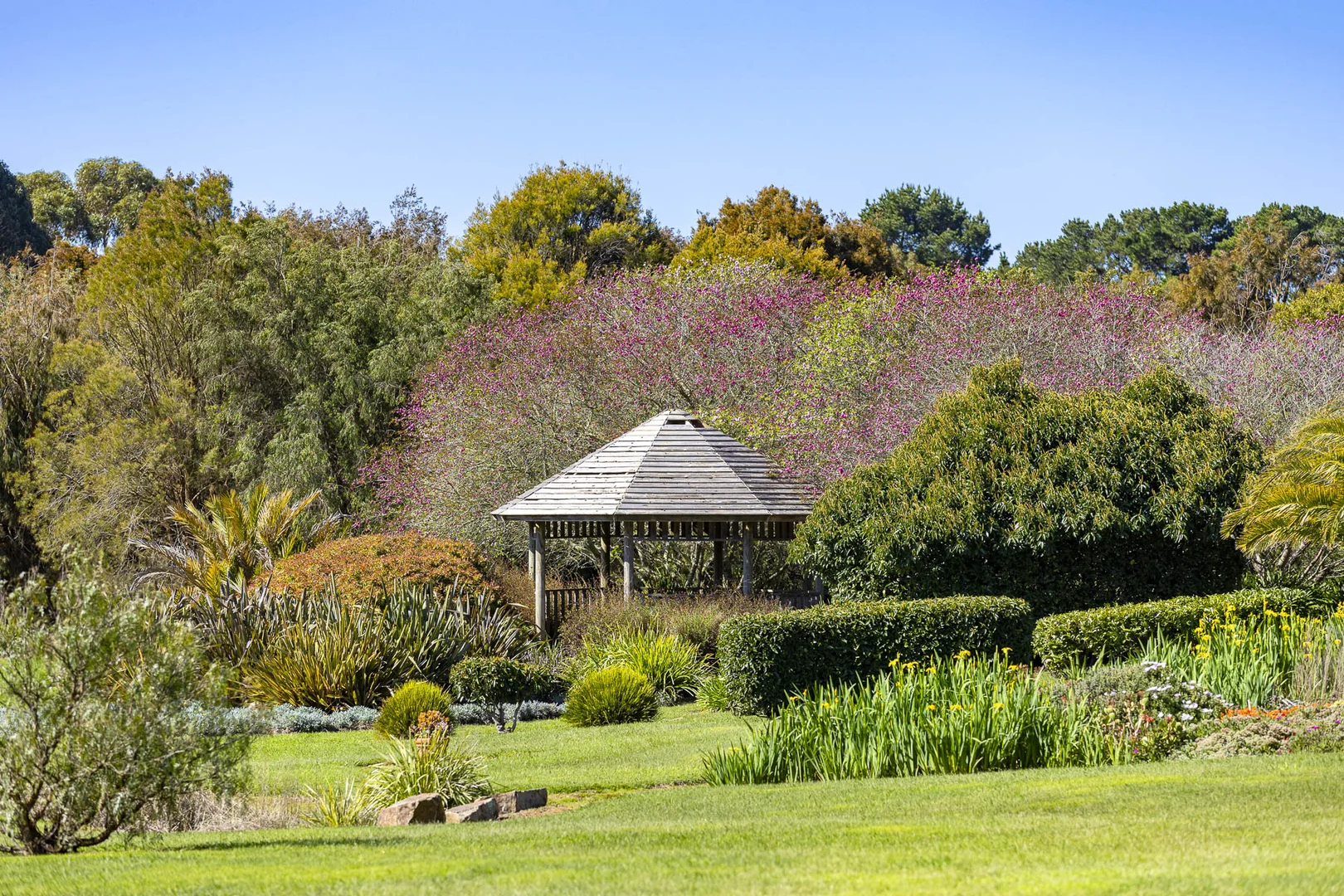 Additional image 17 of 437 Stumpy Gully Road, Balnarring VIC 3926