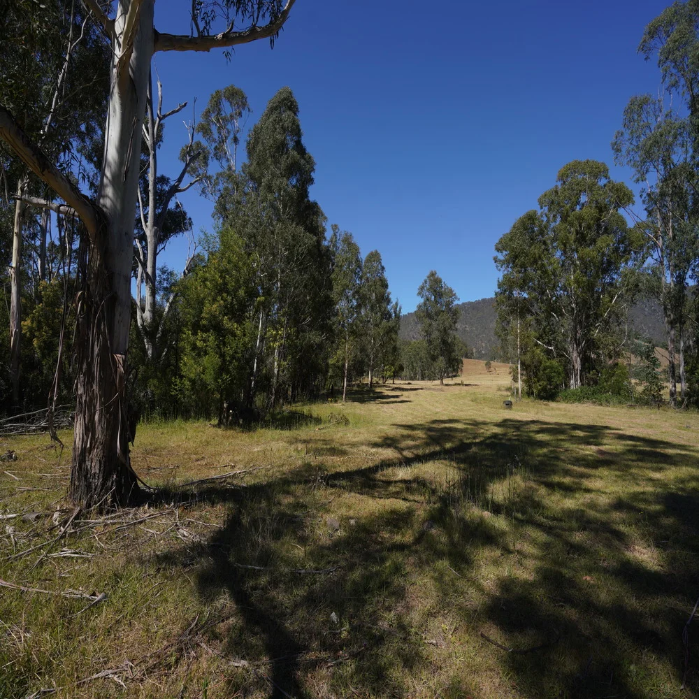 Additional image 9 of 3/1076 Neringla Road, Braidwood NSW 2622