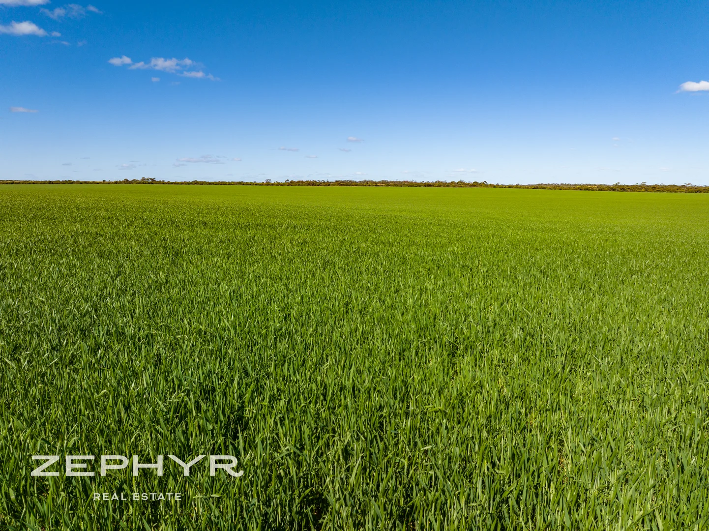 Additional image 6 of 6865 Emu Fence Road, Skeleton Rock WA 6426