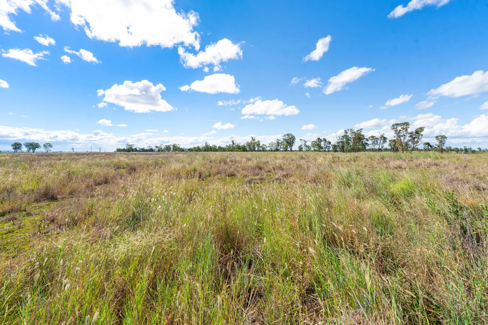 Additional image 14 of 1989 Millmerran Leyburn Road, Tummaville QLD 4352