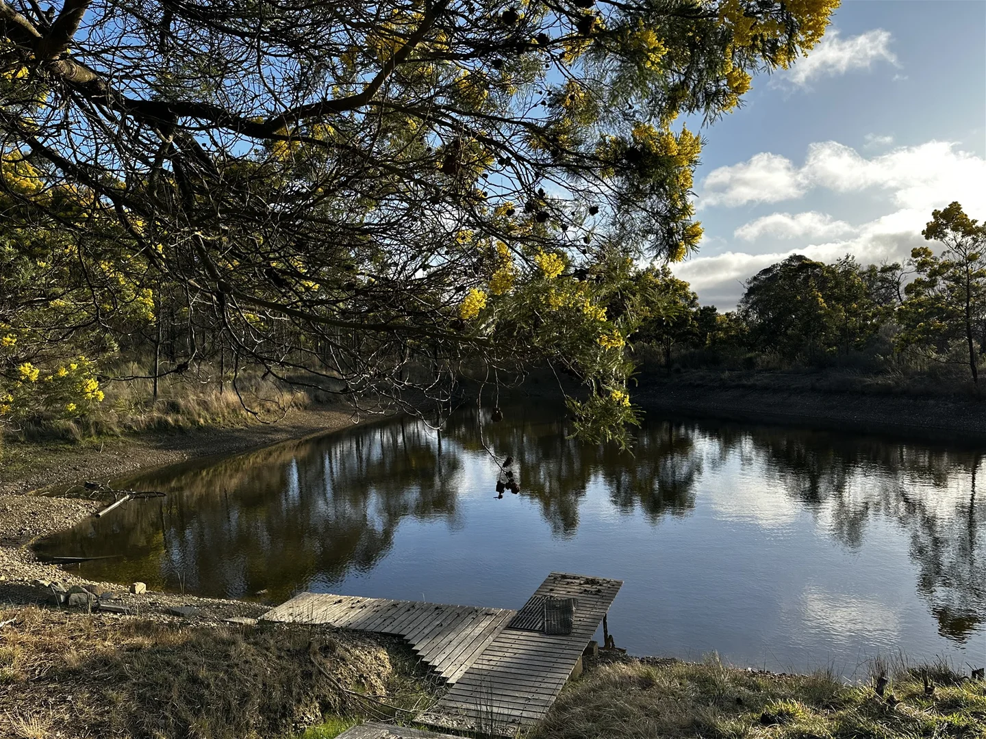 Additional image 21 of 359 Forest Siding Road, Middle Arm NSW 2580