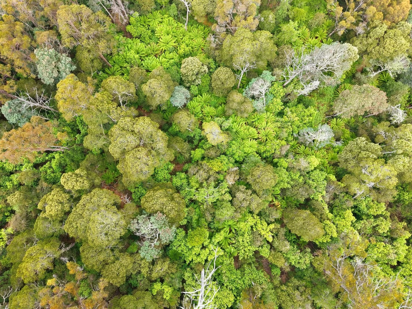 Additional image 4 of 107 Wielangta Road, Kellevie TAS 7176