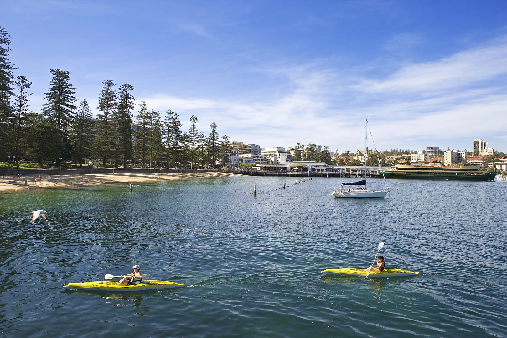 Additional image 12 of 1/23 Quinton Road, Manly NSW 2095