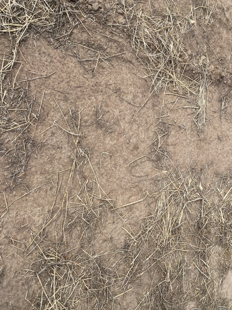 Additional image 7 of - Henty Highway, Hopetoun VIC 3396