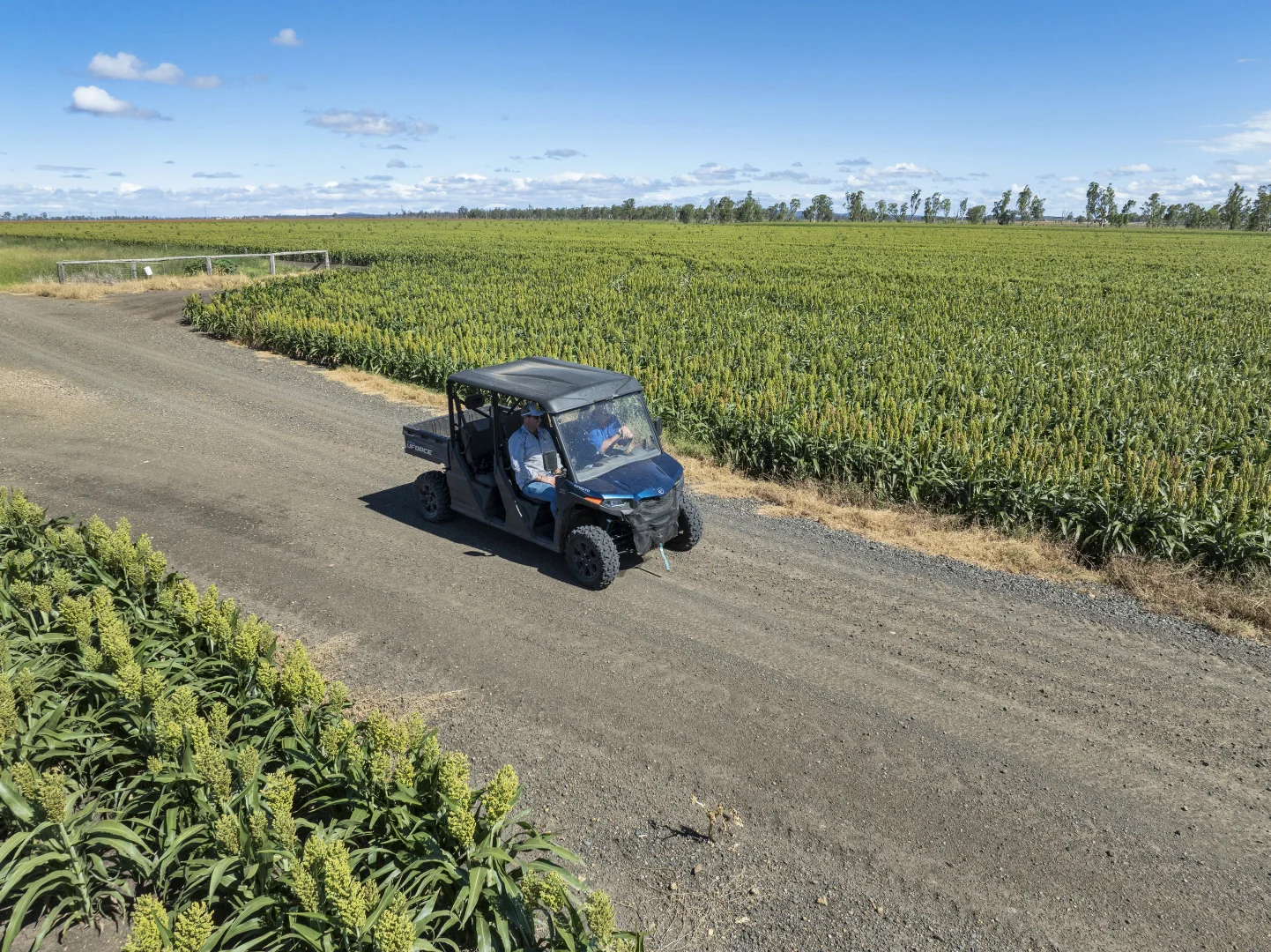 Additional image 6 of 1989 Millmerran Leyburn Road, Tummaville QLD 4352