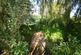 Additional image 23 of Mill Lane, Burniston, Scarborough, North Yorkshire, YO13