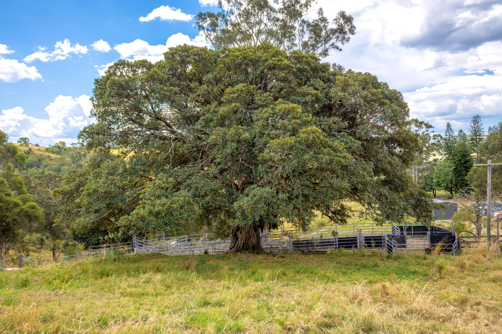 Additional image 16 of 129 Days Road, Belbora NSW 2422