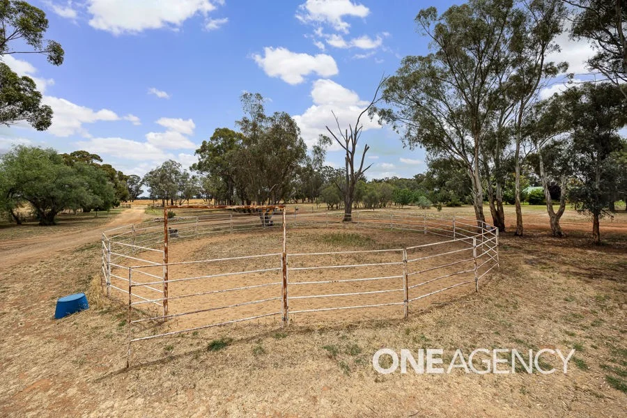 Additional image 25 of 268 ANDREWS ROAD, Brookdale NSW 2656