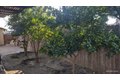 Additional image 20 of 1363 S State St, Porterville, CA, 93257