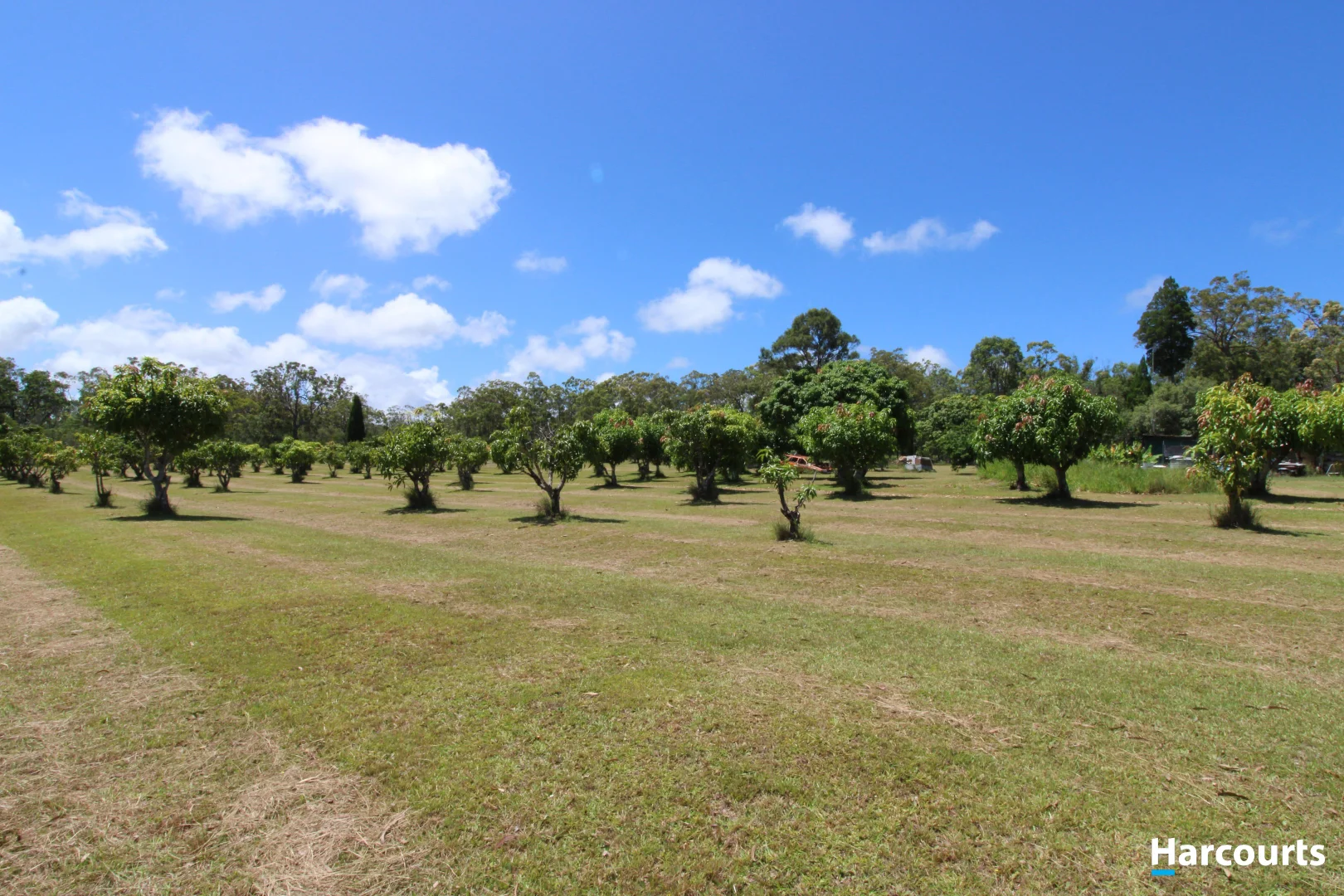 Additional image 14 of 397 Capricornia Drive, Deepwater QLD 4674