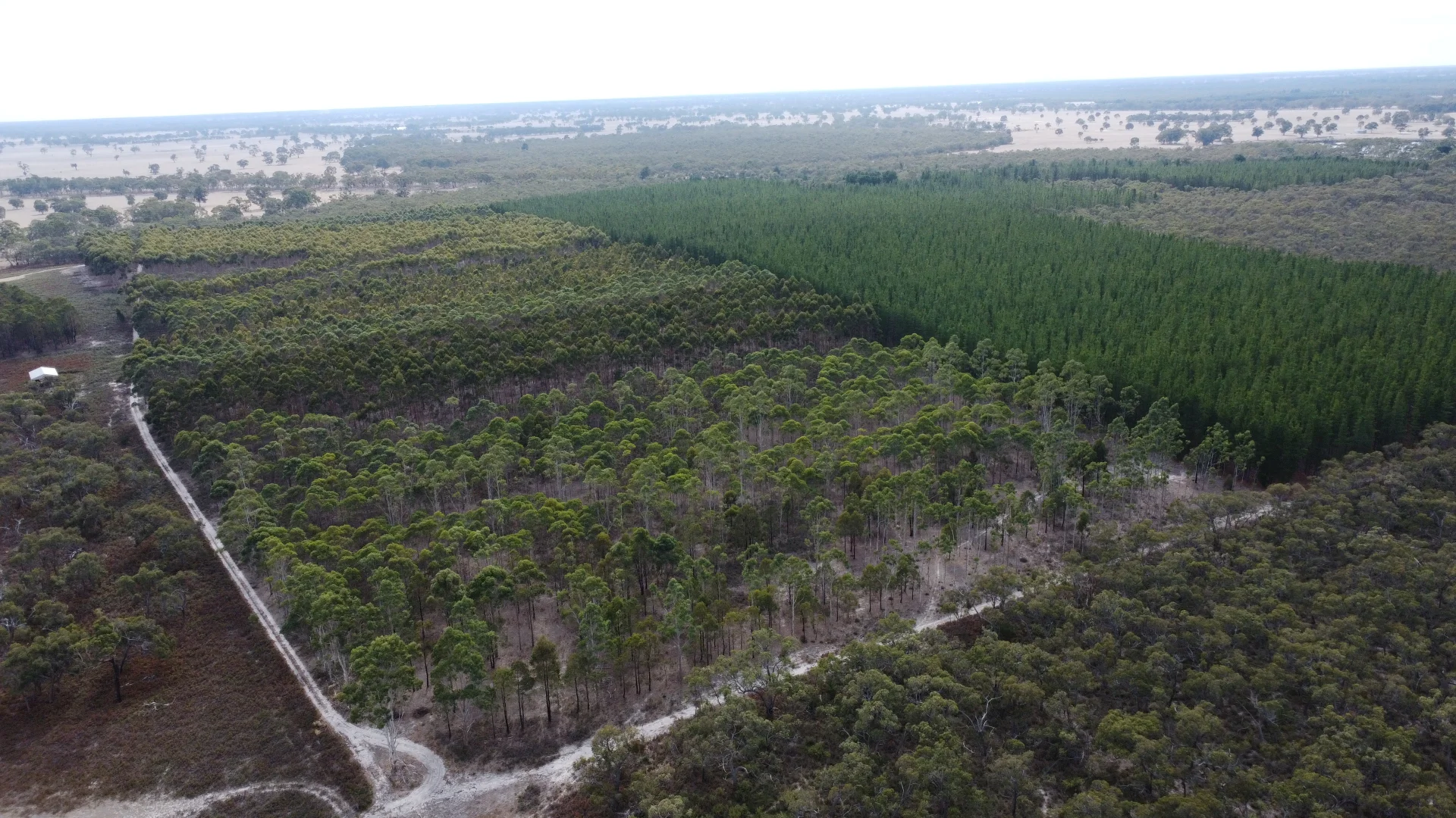 Additional image 5 of Lot 1 Jim Ryans Road, Edenhope VIC 3318