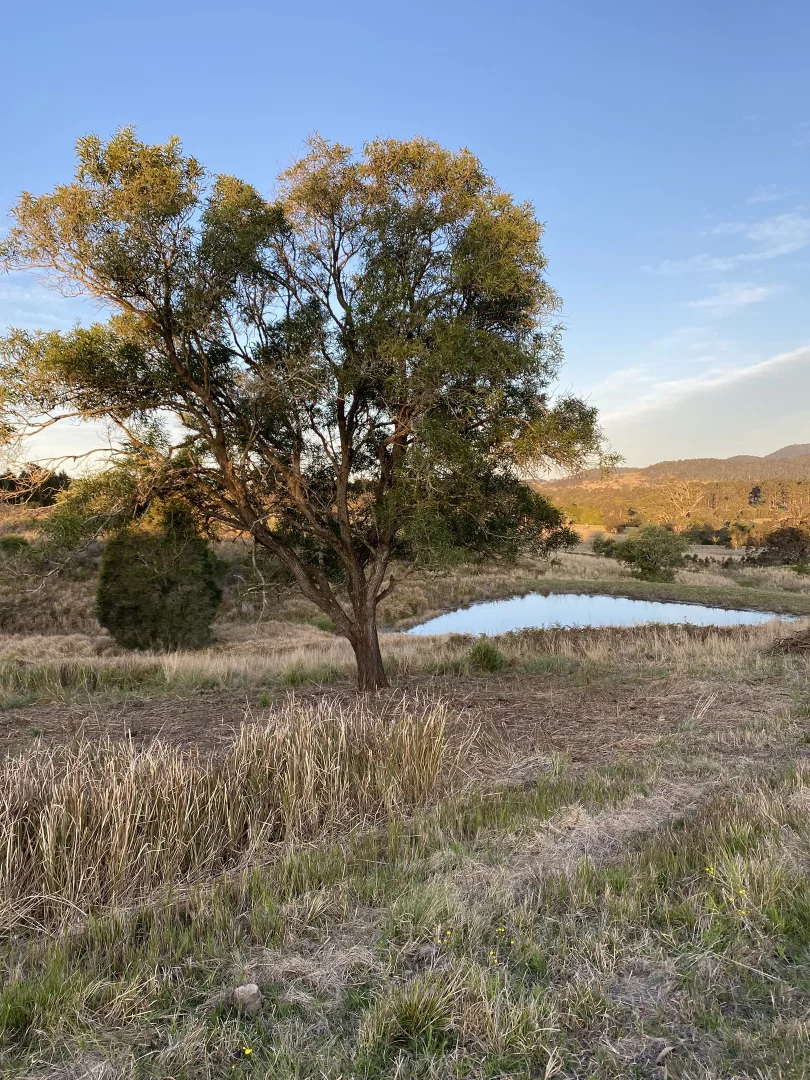 Additional image 9 of 212A Norries Road, Bunyah NSW 2429