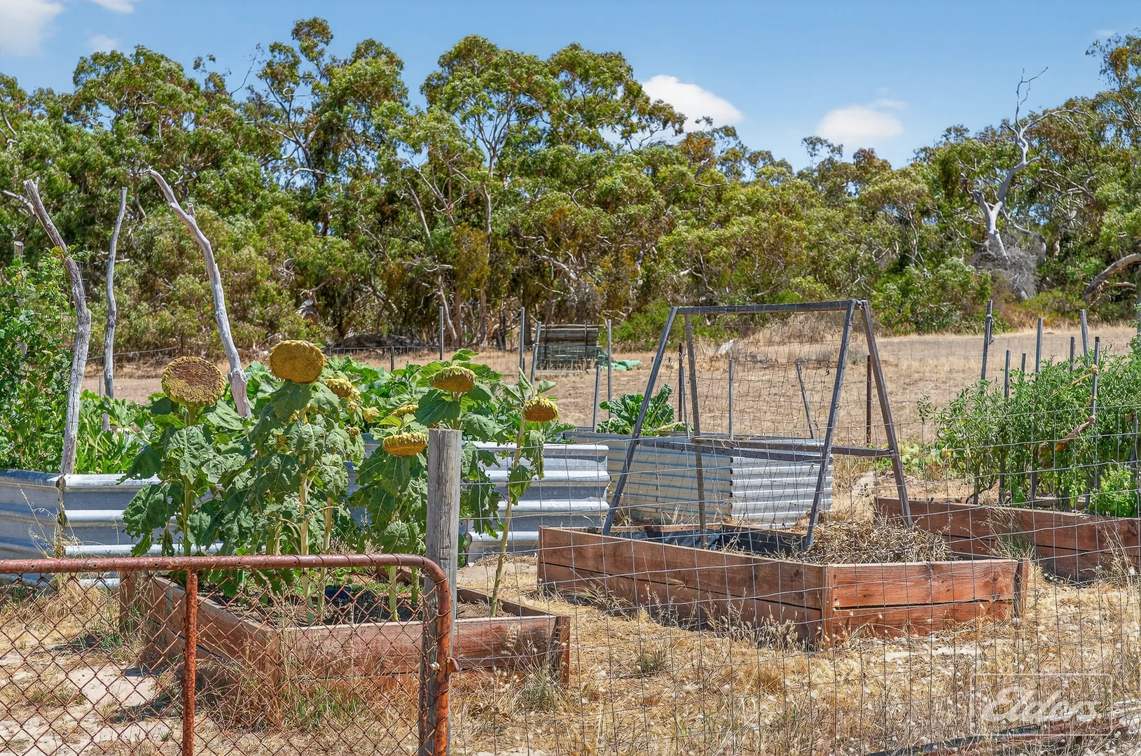 Additional image 41 of 839 Signal Flat Road, Finniss SA 5255