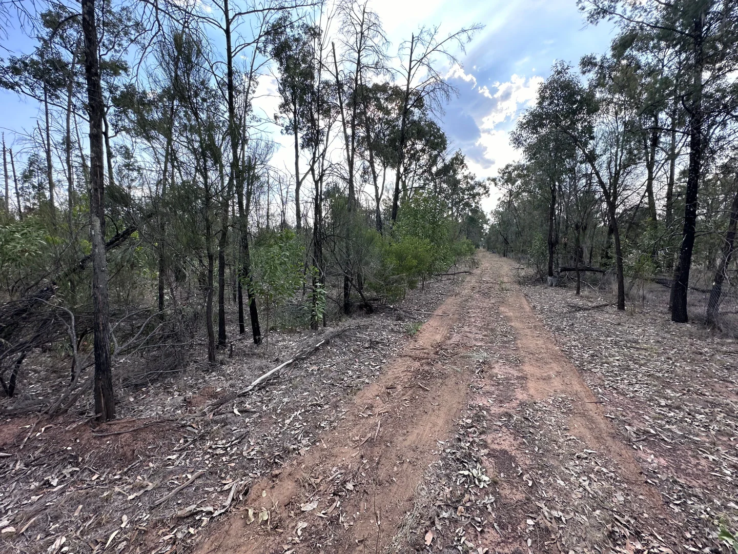 Additional image 15 of 15778 Surat Development Road, Goranba QLD 4421