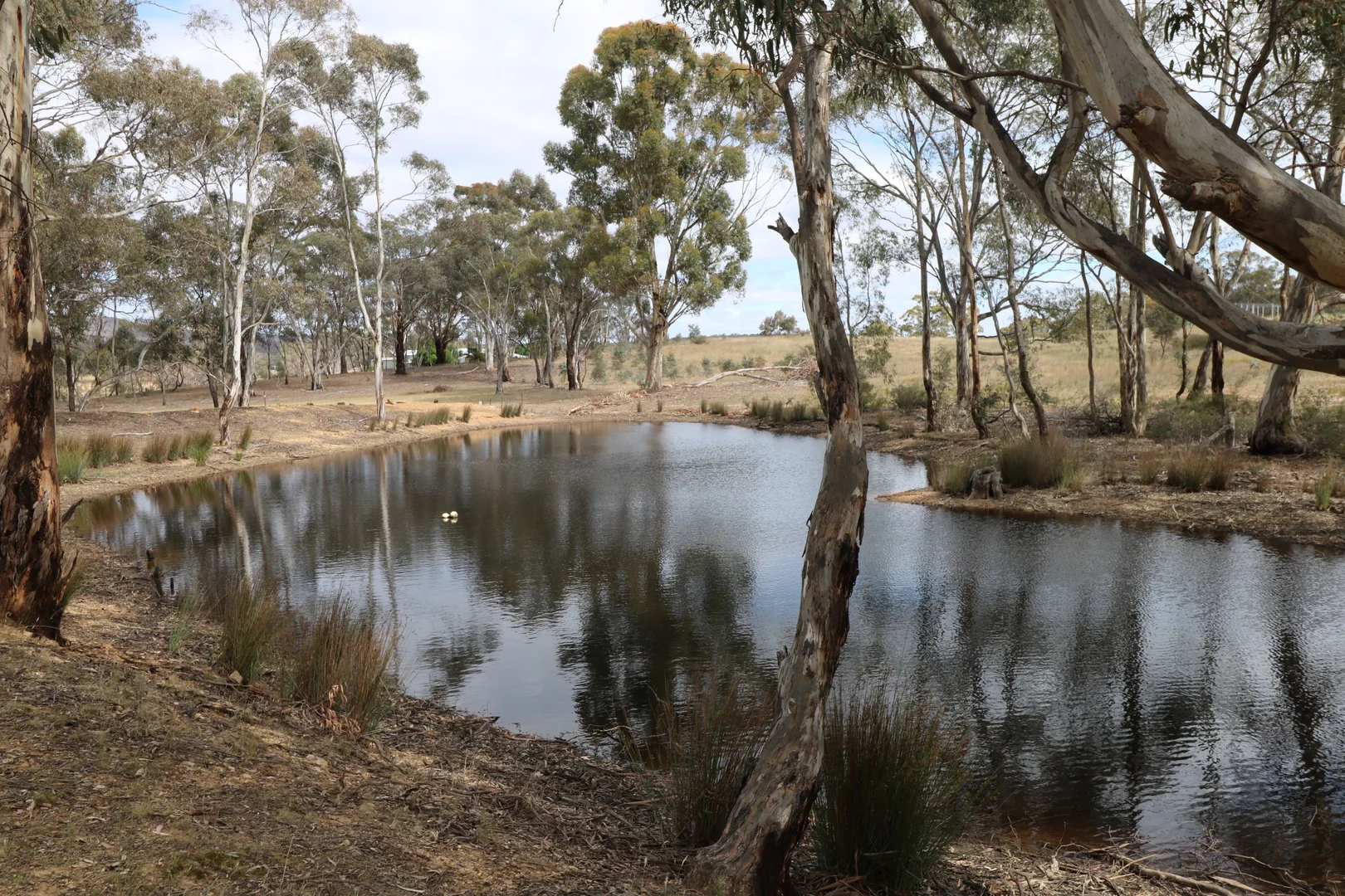 Additional image 20 of 670 Dunolly-Moliagul Road, Goldsborough VIC 3472