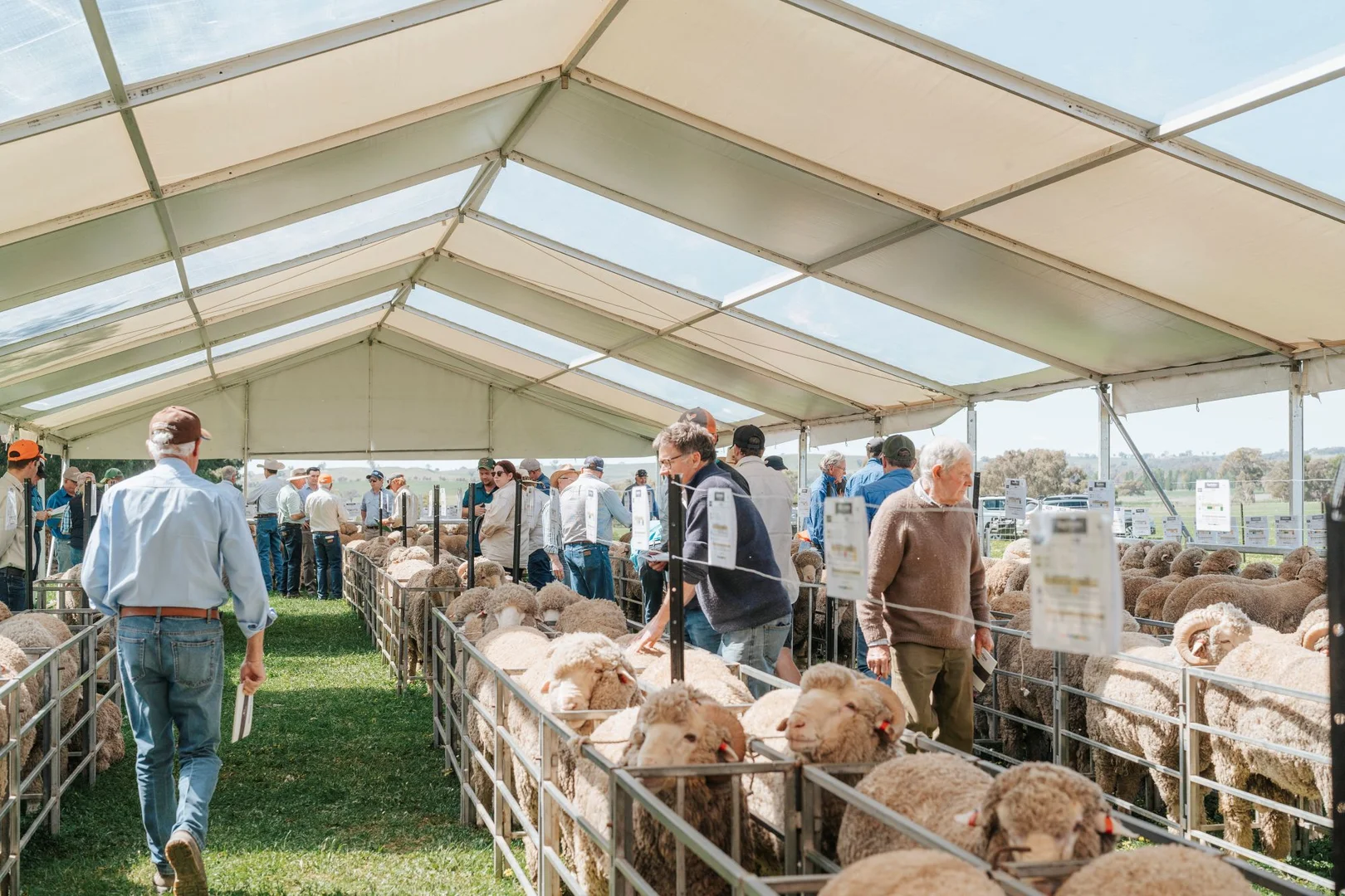 Additional image 19 of 1679 Stockinbingal Road, Cootamundra NSW 2590