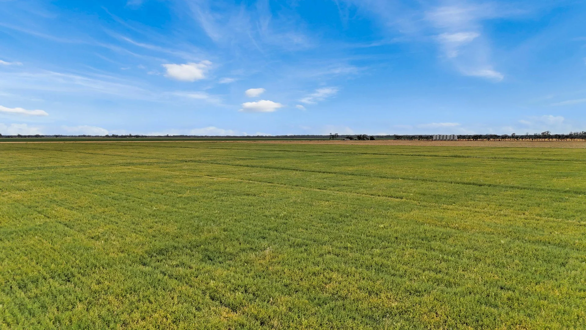 Additional image 8 of 165 Guilmartin Road, Capels Crossing VIC 3579