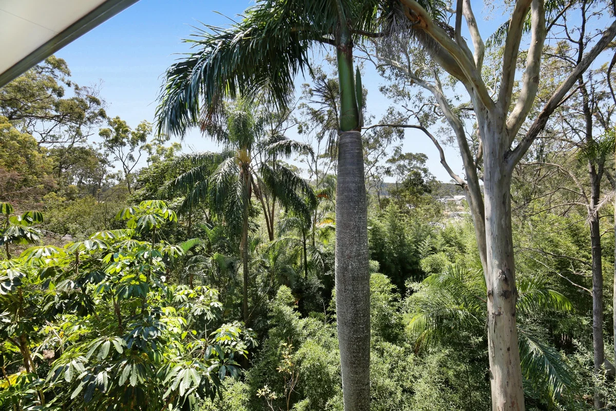 Additional image 18 of 64 Fenton Drive, Tallebudgera QLD 4228